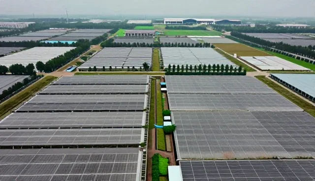 商务代理中管理咨询的适用条件解析