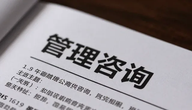商务信息处理中的常见问题及应对策略